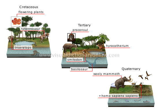 ANIMAL KINGDOM :: EVOLUTION OF LIFE :: ORIGIN AND EVOLUTION OF SPECIES [4]  image - Visual Dictionary Online