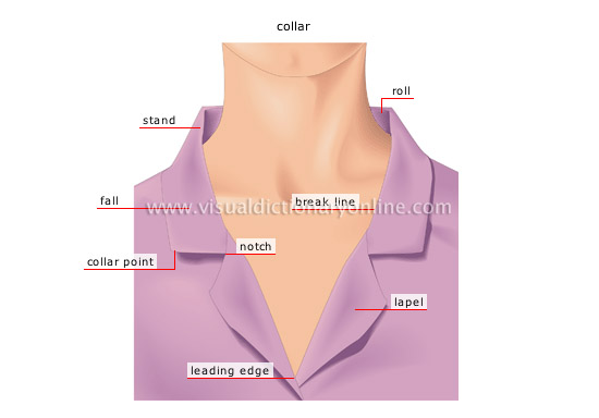 examples of collars [1]