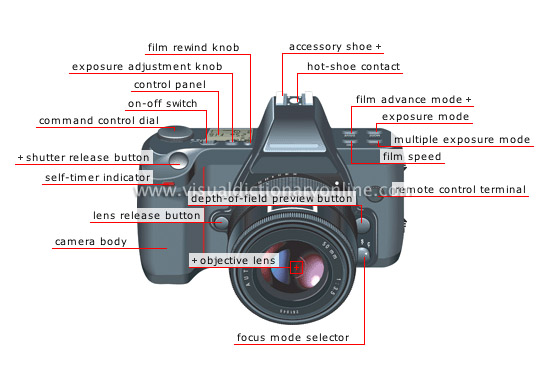 single-lens reflex (SLR) camera: front view