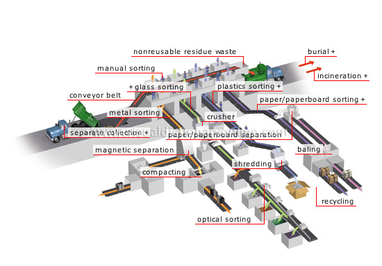 sorting plant