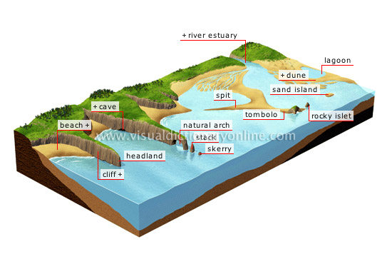 common coastal features