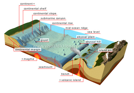 Featured image of post Sea Floor Ocean Floor Drawing Sediment on the seafloor originates from a variety of sources including biota from the overlying ocean water eroded material from land transported to the ocean by rivers or wind ash from volcanoes and chemical precipitates derived directly from sea water