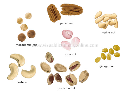 dry fruits [1]