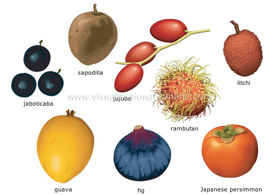 tropical fruits [3]