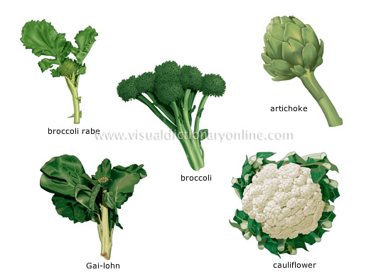 Vegetables English pe