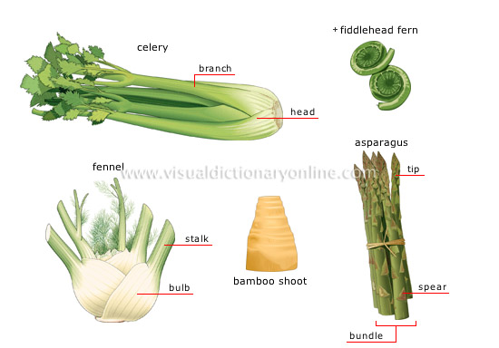 stalk vegetables [1]