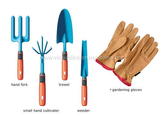 Plants Gardening Gardening Hand Tools Image Visual