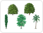 examples of broadleaved trees [2]