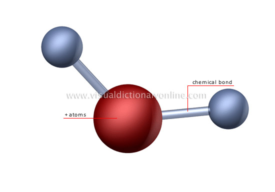 molecule