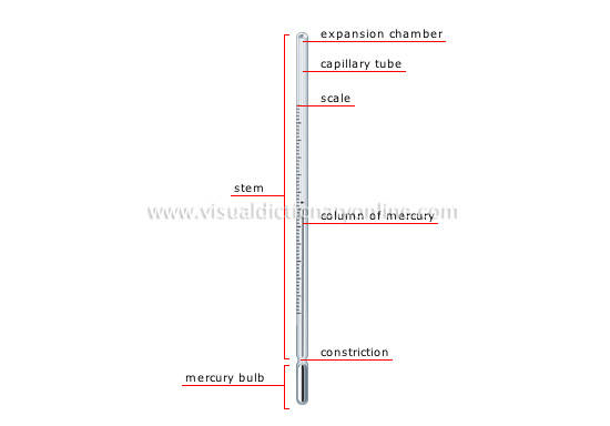 clinical thermometer