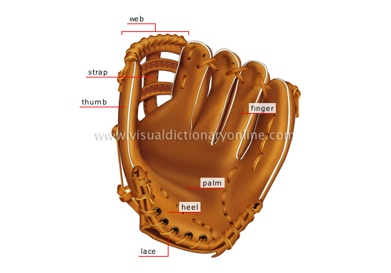 fielder’s glove