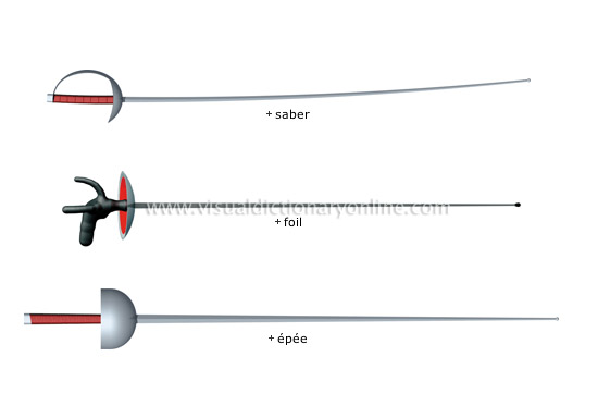 fencing weapons [1]