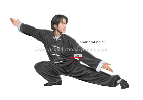 kung fu practitioner