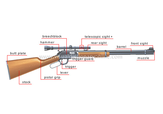 rifle (rifled bore)