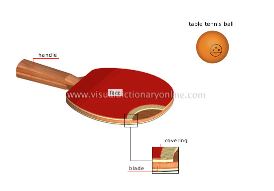 table tennis paddle - Visual Dictionary Online