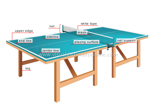 Catálogo de Ping Pong Online