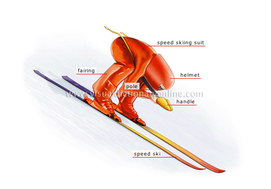 & GAMES :: WINTER SPORTS :: SPEED SKIING :: SPEED SKIER - Visual Dictionary Online