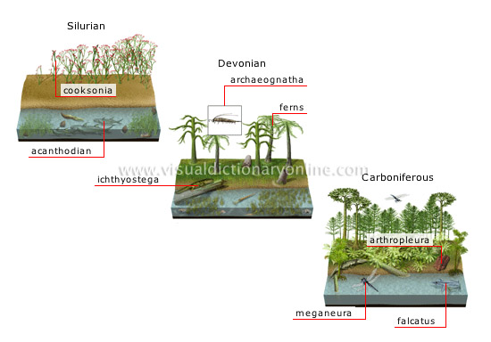 origin and evolution of species [2]