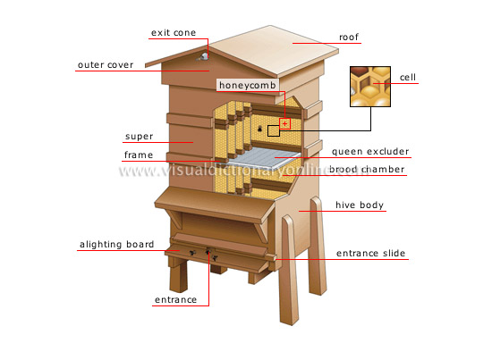 hive [2]