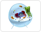 animal cell