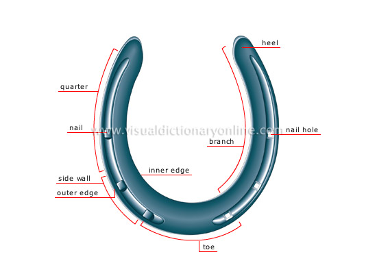 ANIMAL KINGDOM :: UNGULATE MAMMALS :: HORSE :: HORSESHOE image - Visual  Dictionary Online