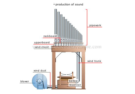 organ [5]