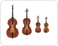 violin family