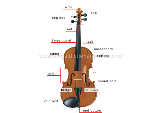 violin