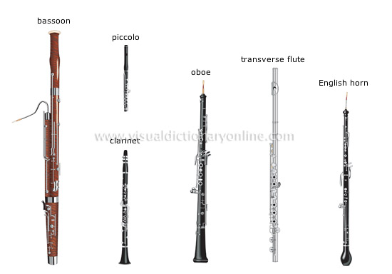 wind instruments [3]