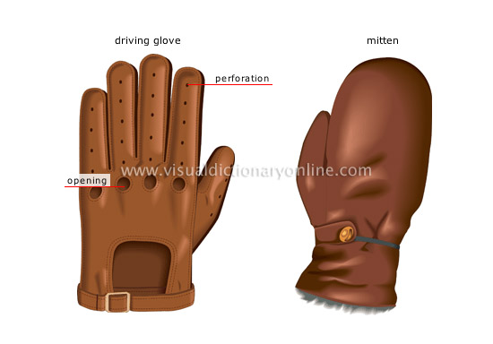 men’s gloves [2]