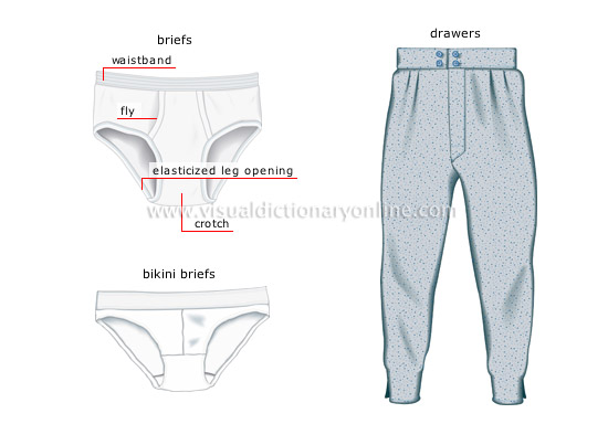underwear [1]