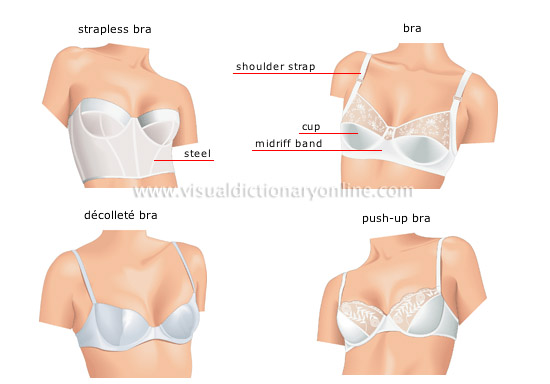 Undergarment  meaning of Undergarment 