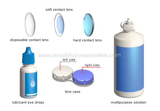 contact lenses