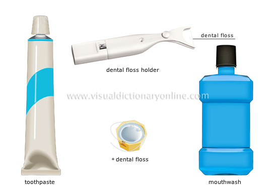 dental care [2]