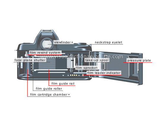 single-lens reflex (SLR) camera: camera back