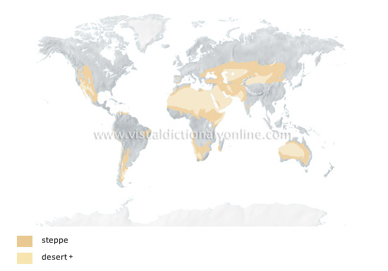 dry climates