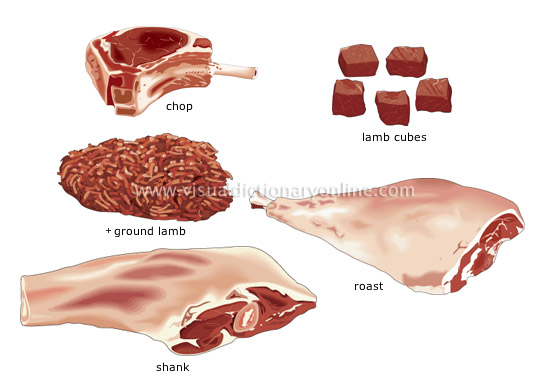 cuts of lamb