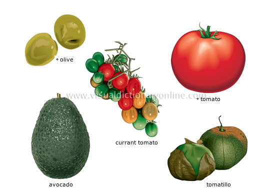 fruit vegetables [1]