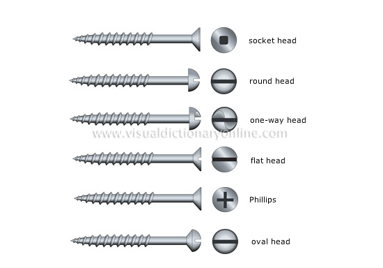 examples of heads