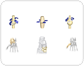 types of synovial joints [2]