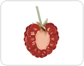 fleshy fruit: berry fruit [2]