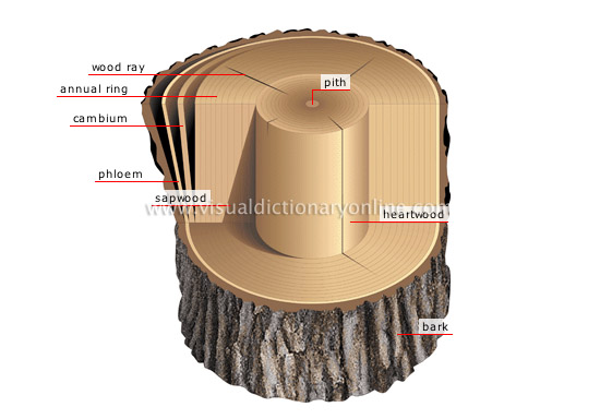 Understanding annular rings - Eurocircuits