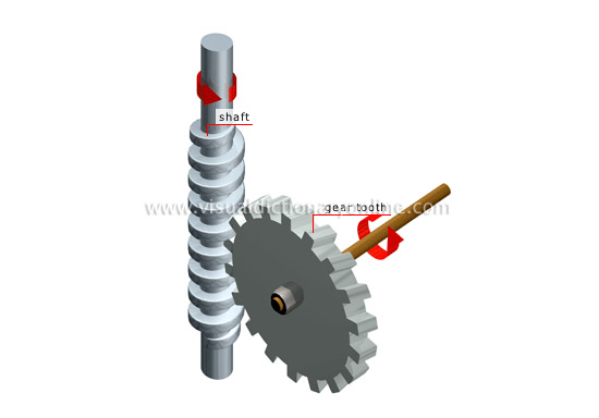 worm gear