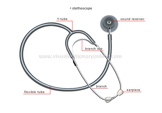 SOCIETY :: HEALTH :: FIRST AID EQUIPMENT [5] image - Visual Dictionary ...