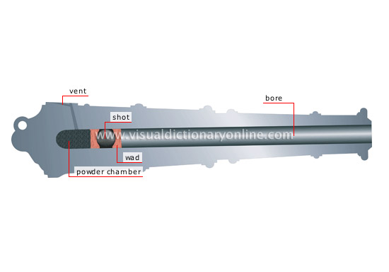 cross section of a muzzle loading