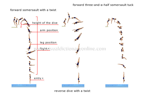 examples of dives [2]