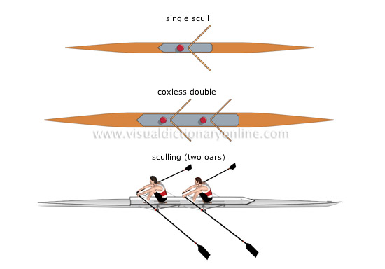 sculling boats
