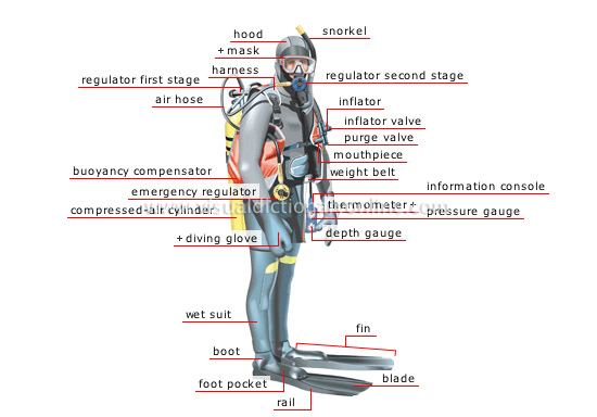 scuba diver