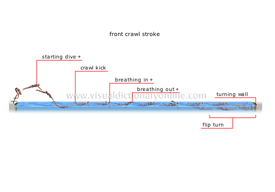 types of strokes [4]