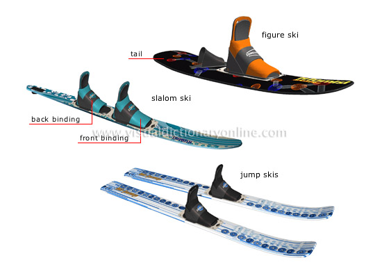 examples of skis [2]